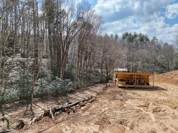 a car parked in the middle of a forest