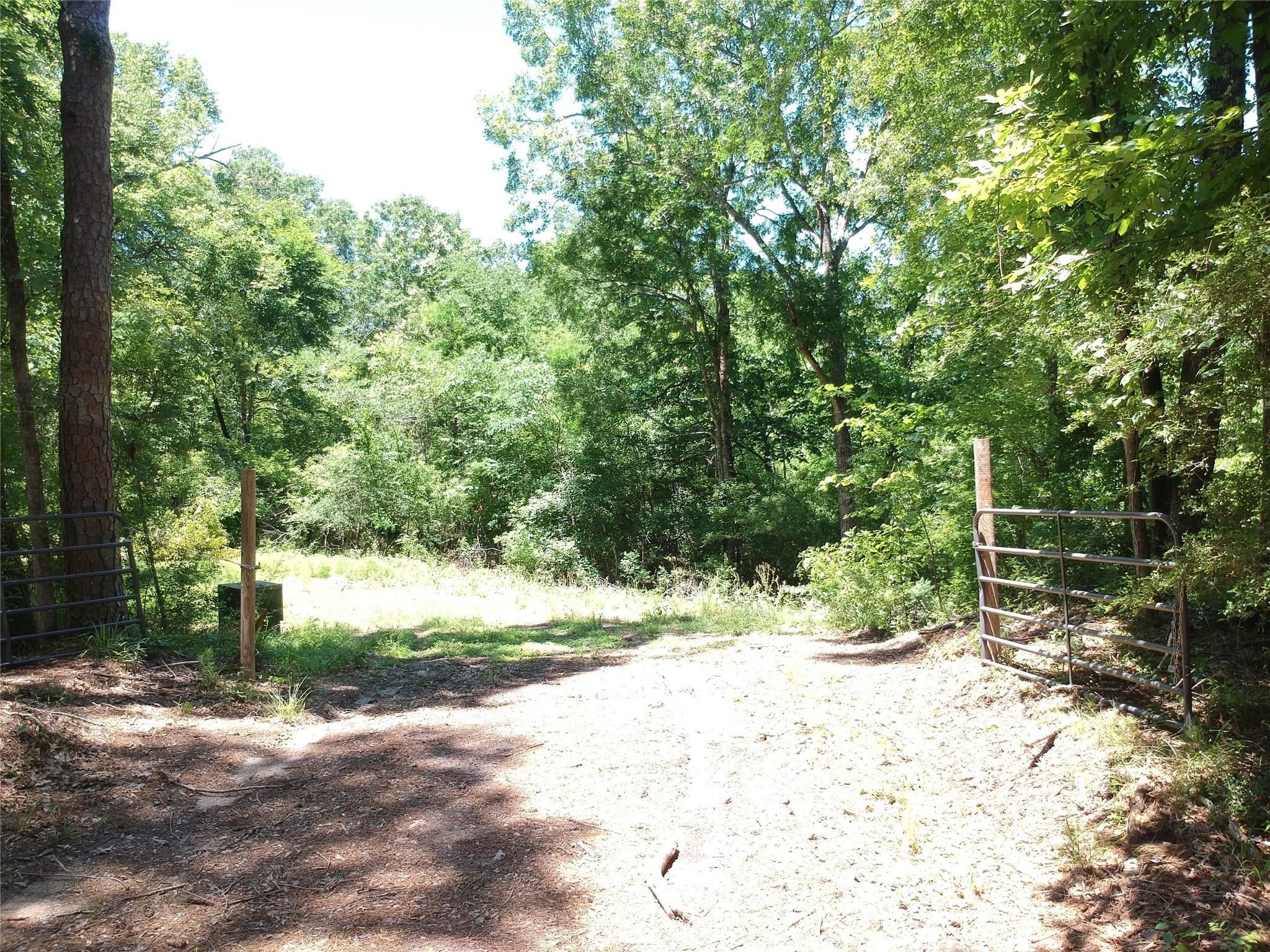 5183 Felix Currie Road Point Blank, TX 77364 - Photo 2 of 8 Gallery Image 2