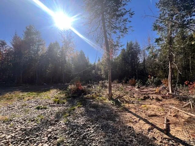 $115,000 | Lot 37 Fire Road, Houlton, ME 04730