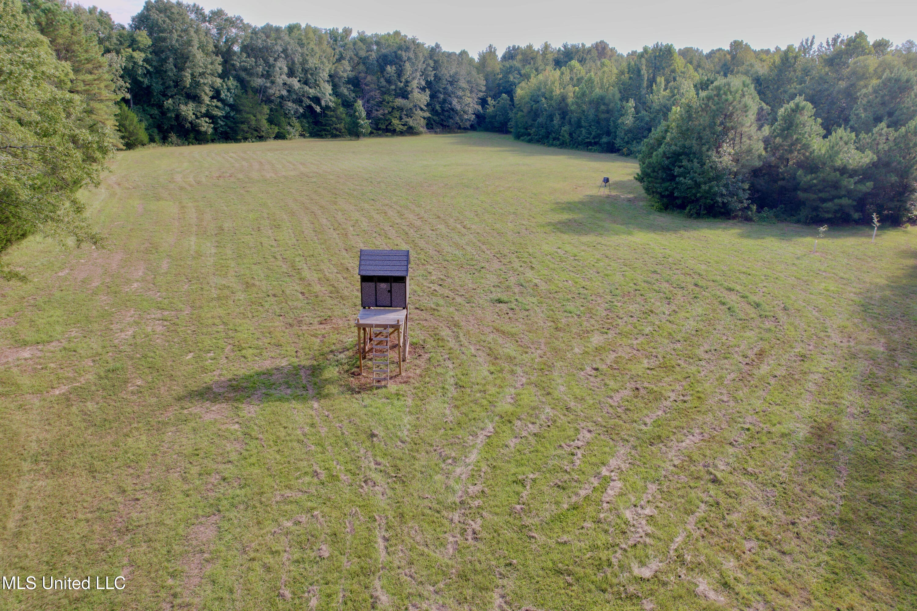 357 Robinson Springs Road Flora, MS 39071 - Photo 11 of 29 rsrn4