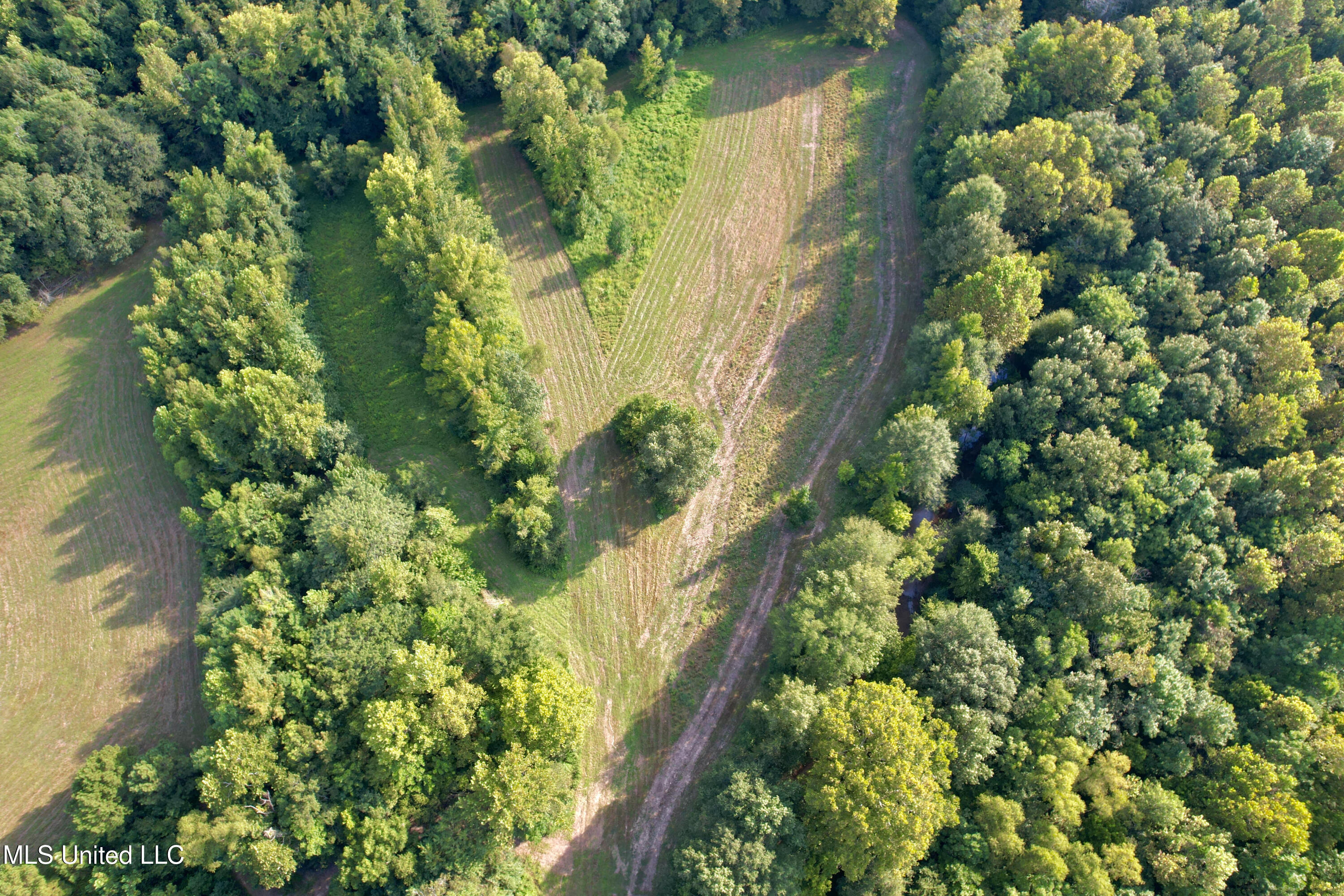 357 Robinson Springs Road Flora, MS 39071 - Photo 12 of 29 rsrn6