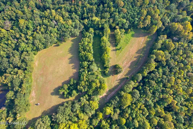 $725,000 | 357 Robinson Springs Road, Flora, MS 39071