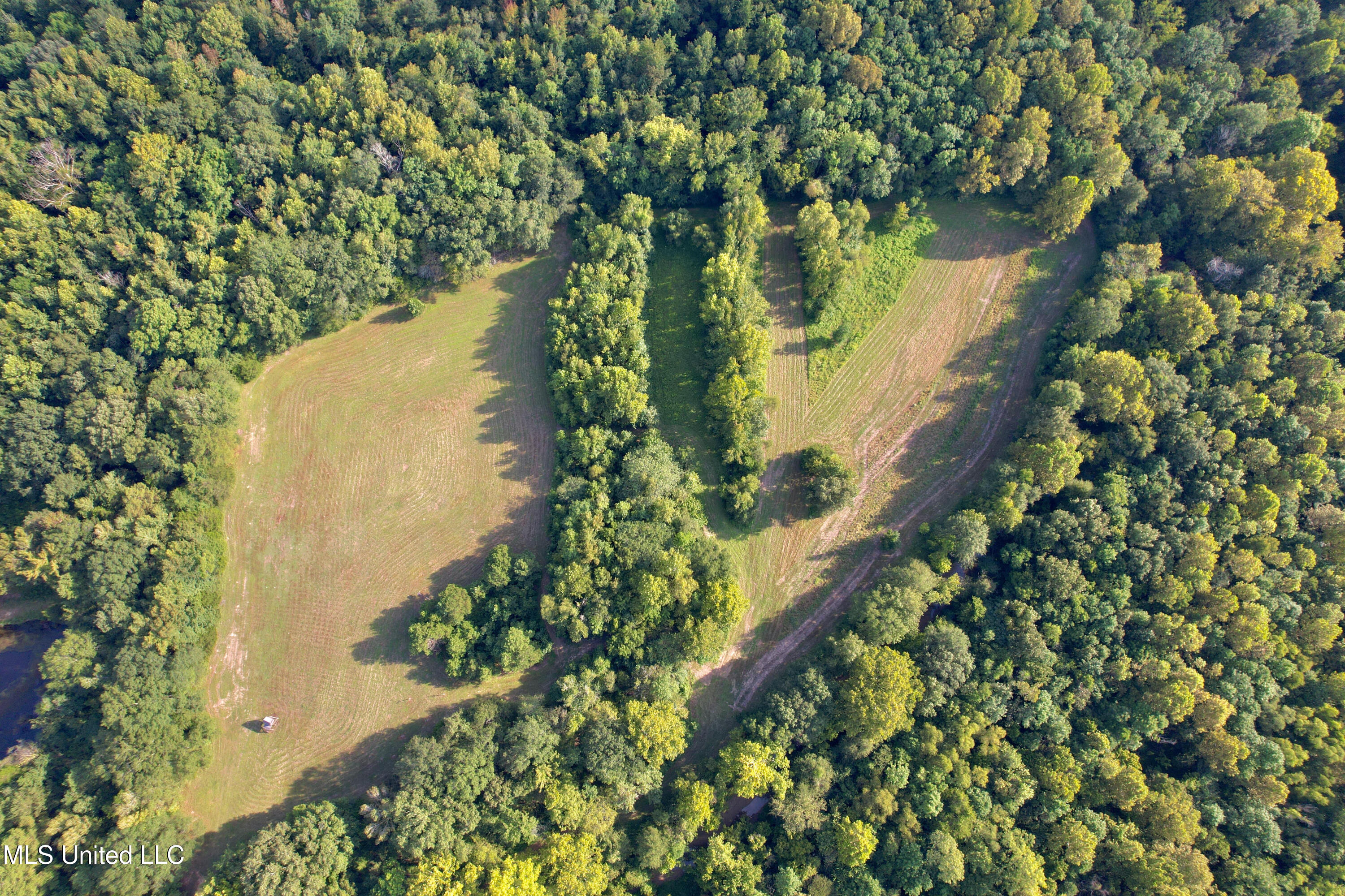 357 Robinson Springs Road Flora, MS 39071 - Photo 13 of 29 rsrn7