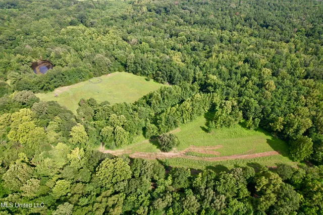 $725,000 | 357 Robinson Springs Road, Flora, MS 39071