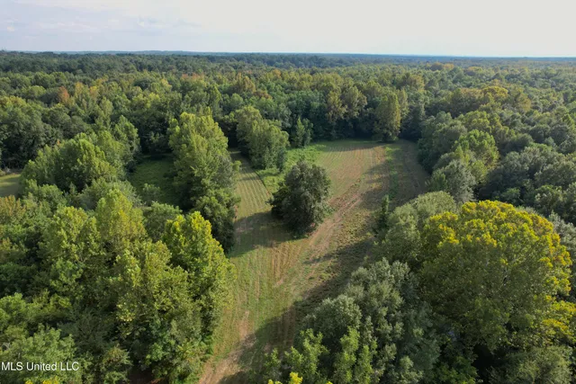 $725,000 | 357 Robinson Springs Road, Flora, MS 39071