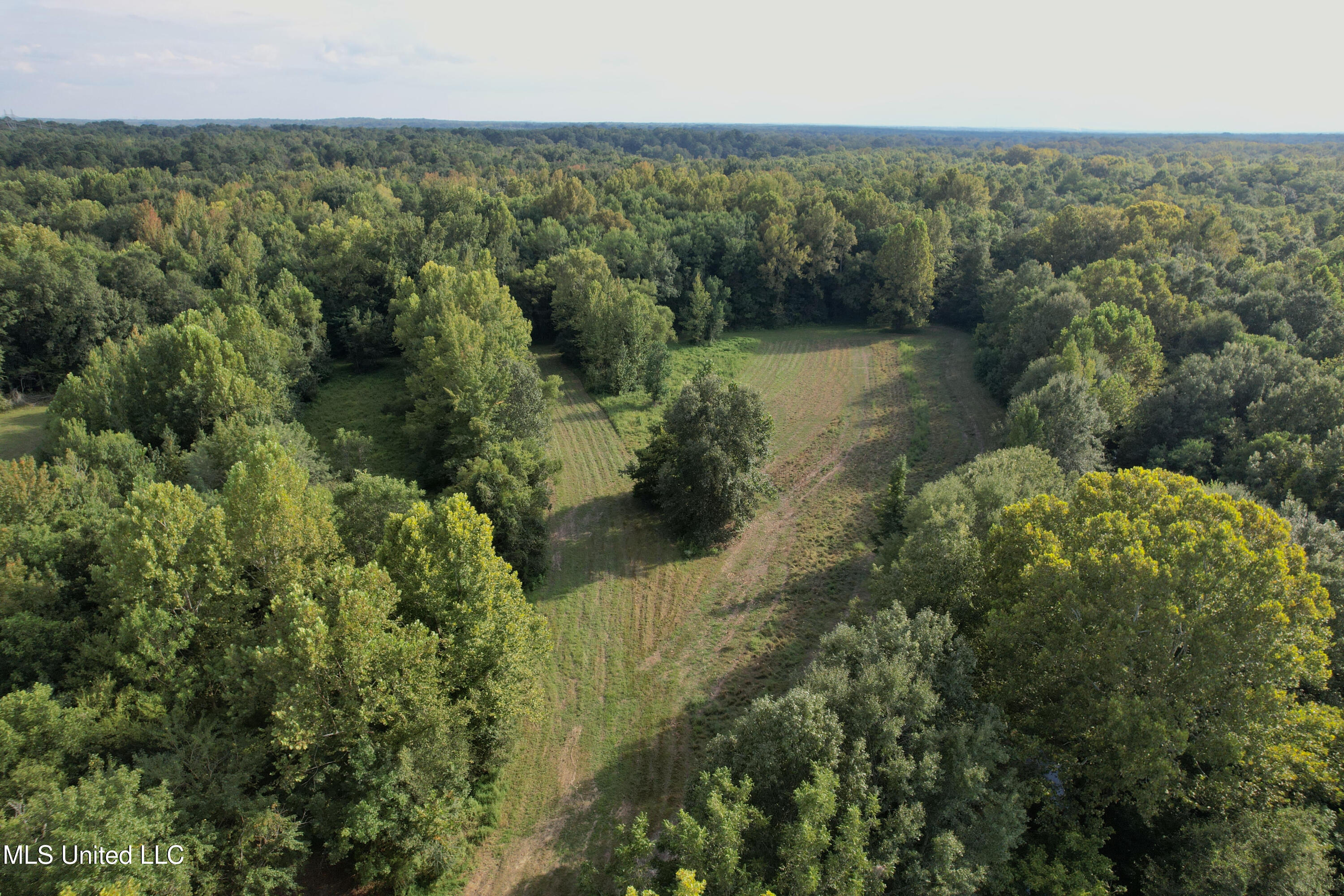 357 Robinson Springs Road Flora, MS 39071 - Photo 15 of 29 rsrn5