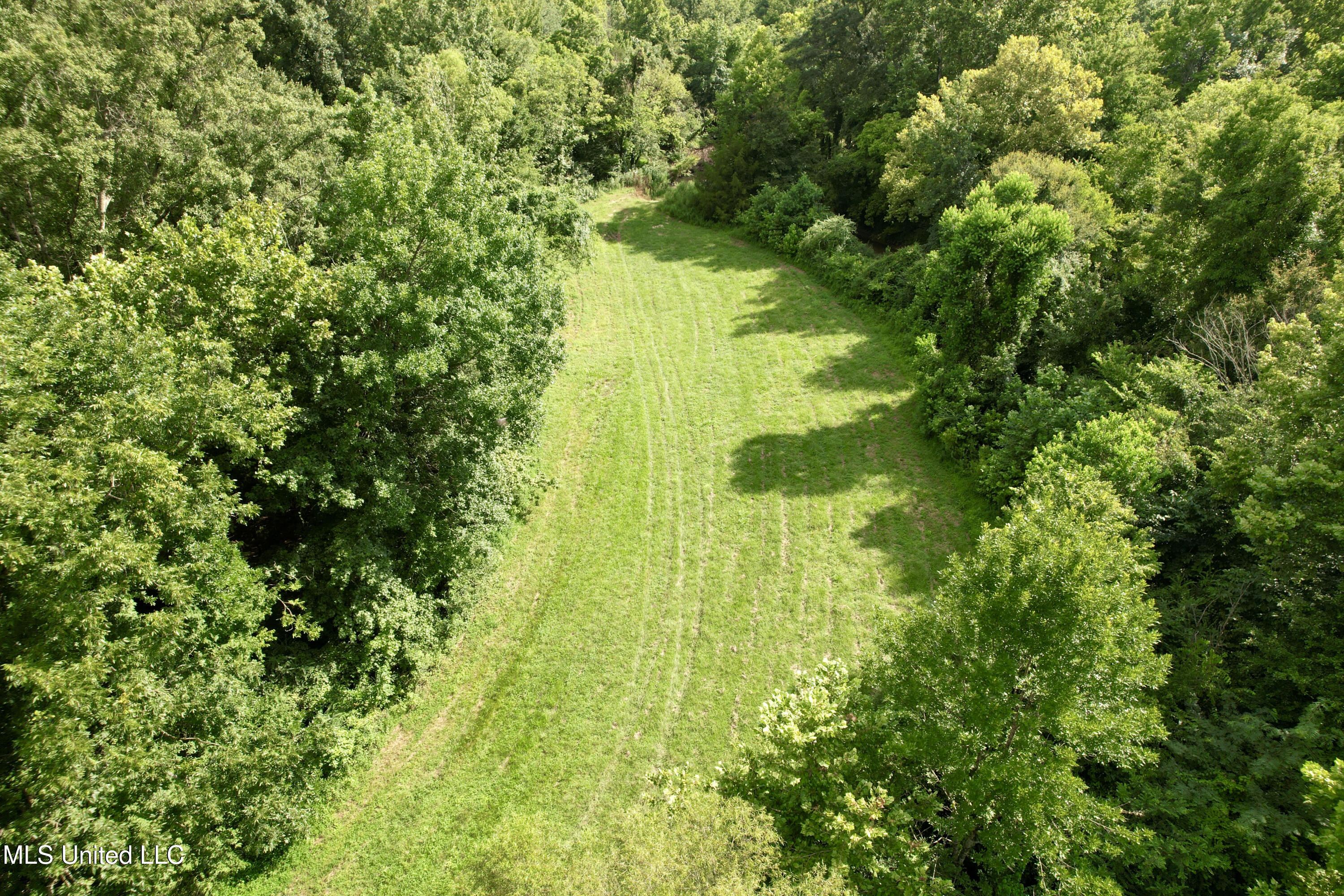 357 Robinson Springs Road Flora, MS 39071 - Photo 17 of 29 rsrd4