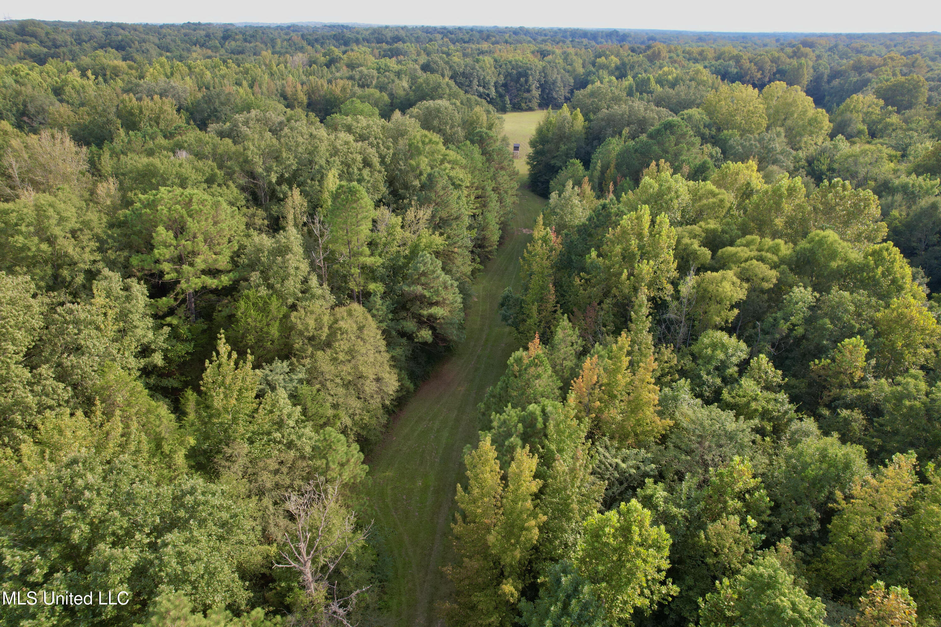 357 Robinson Springs Road Flora, MS 39071 - Photo 18 of 29 rsrn1
