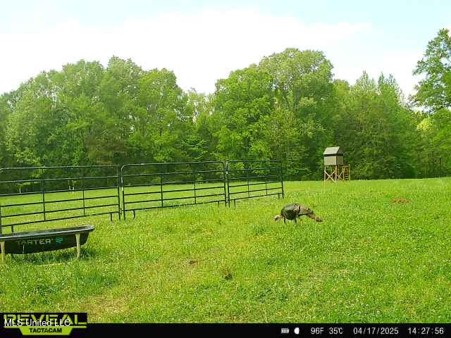 357 Robinson Springs Road Flora, MS 39071 - Photo 19 of 29 rs3