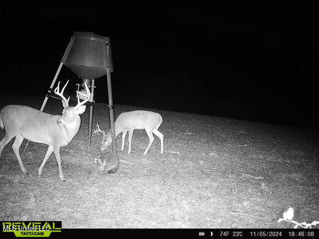 357 Robinson Springs Road Flora, MS 39071 - Photo 20 of 29 rs7