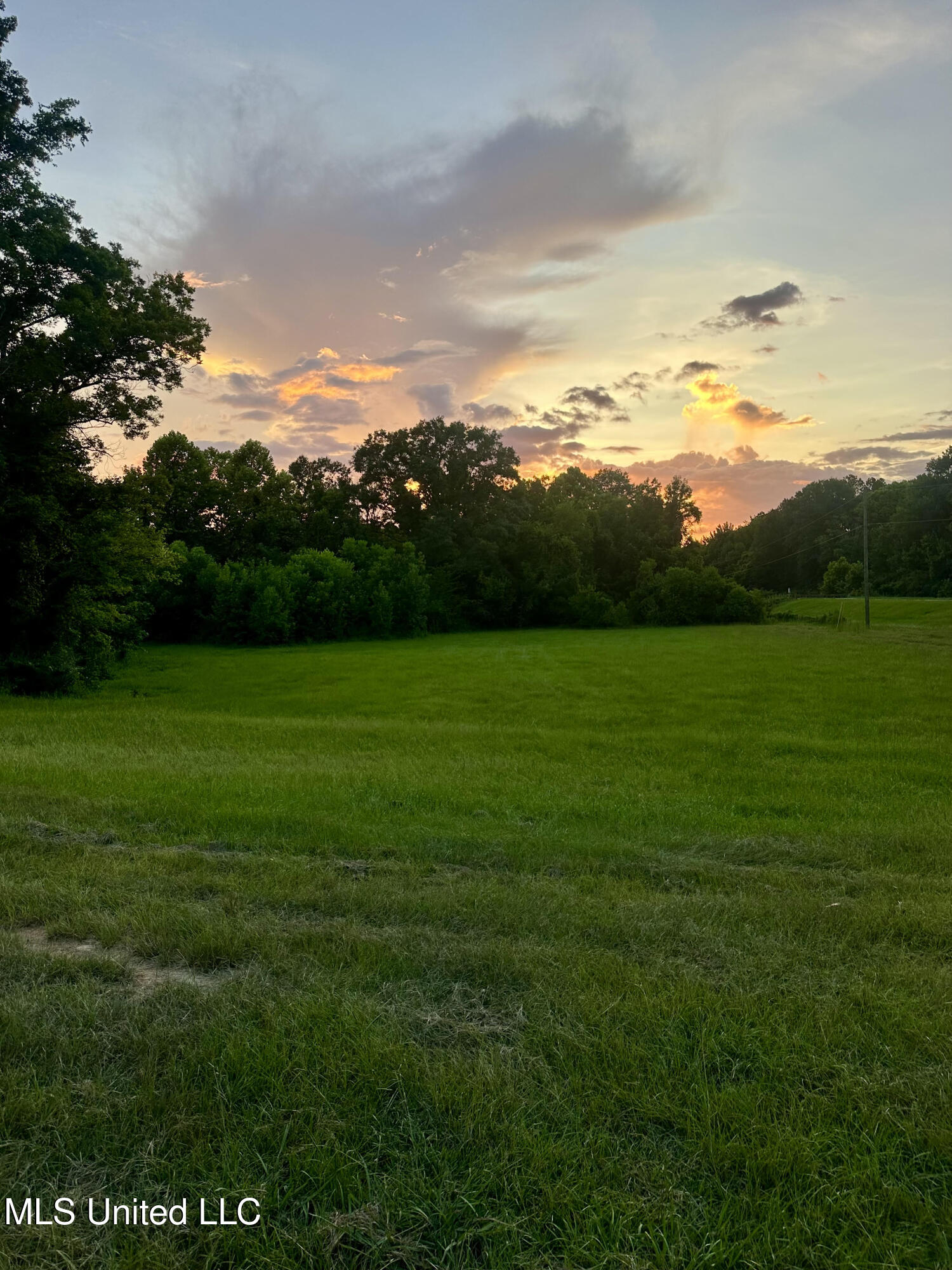 357 Robinson Springs Road Flora, MS 39071 - Photo 2 of 29 rsr19