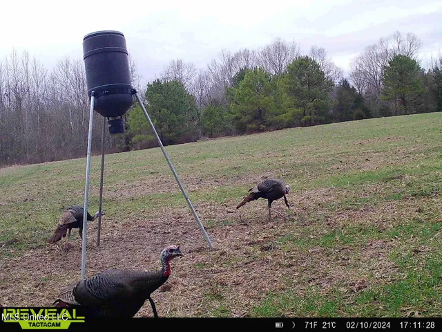 $725,000 | 357 Robinson Springs Road, Flora, MS 39071