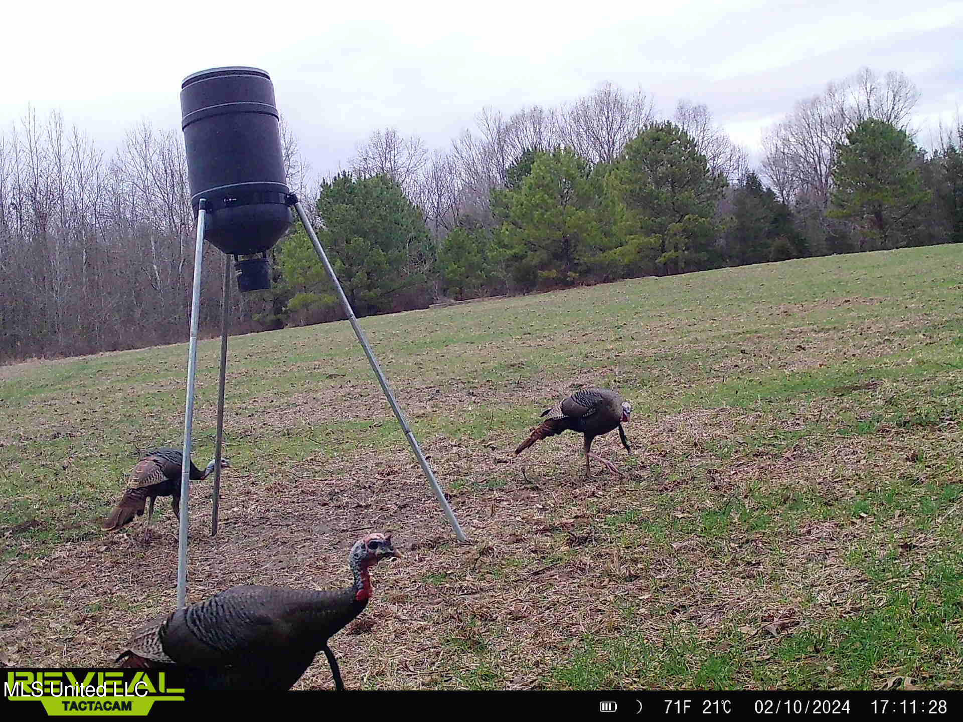 357 Robinson Springs Road Flora, MS 39071 - Photo 21 of 29 rs9