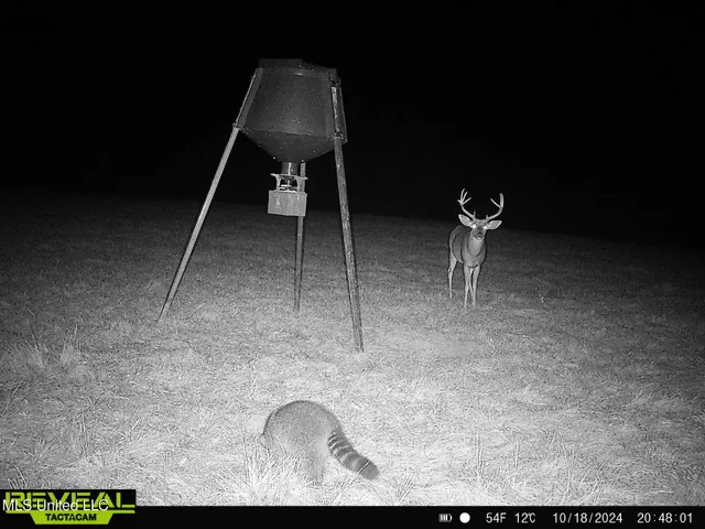 $725,000 | 357 Robinson Springs Road, Flora, MS 39071