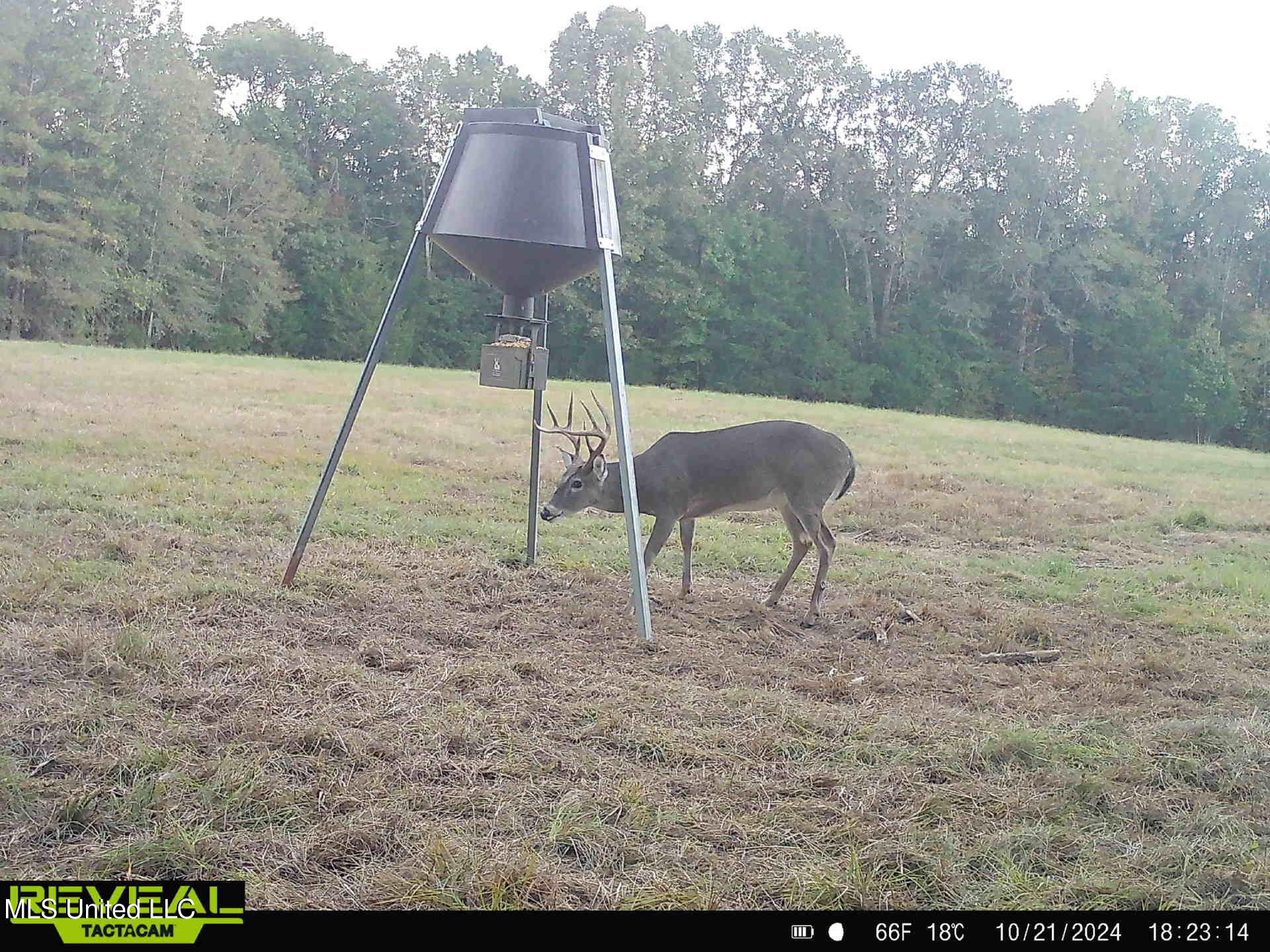 357 Robinson Springs Road Flora, MS 39071 - Photo 23 of 29 rs11