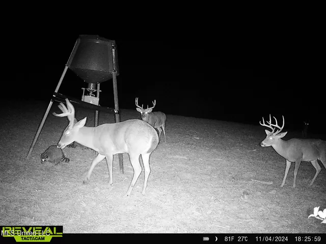 $725,000 | 357 Robinson Springs Road, Flora, MS 39071