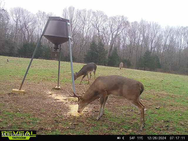 357 Robinson Springs Road Flora, MS 39071 - Photo 25 of 29 rs6