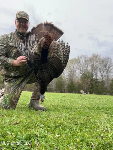 $725,000 | 357 Robinson Springs Road, Flora, MS 39071