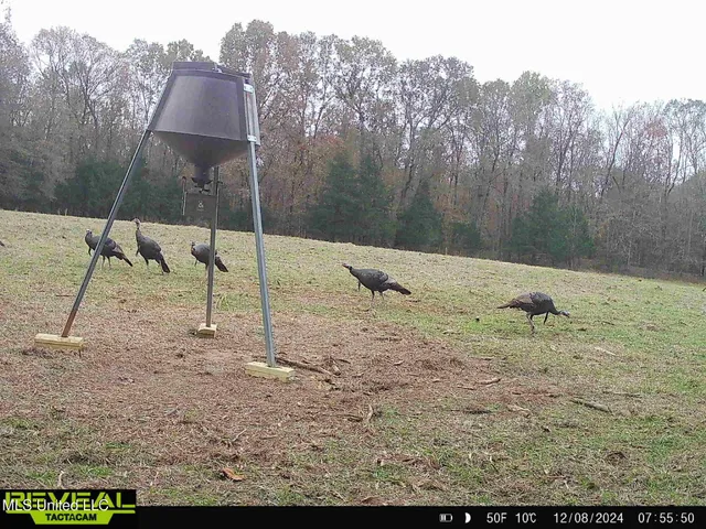 $725,000 | 357 Robinson Springs Road, Flora, MS 39071