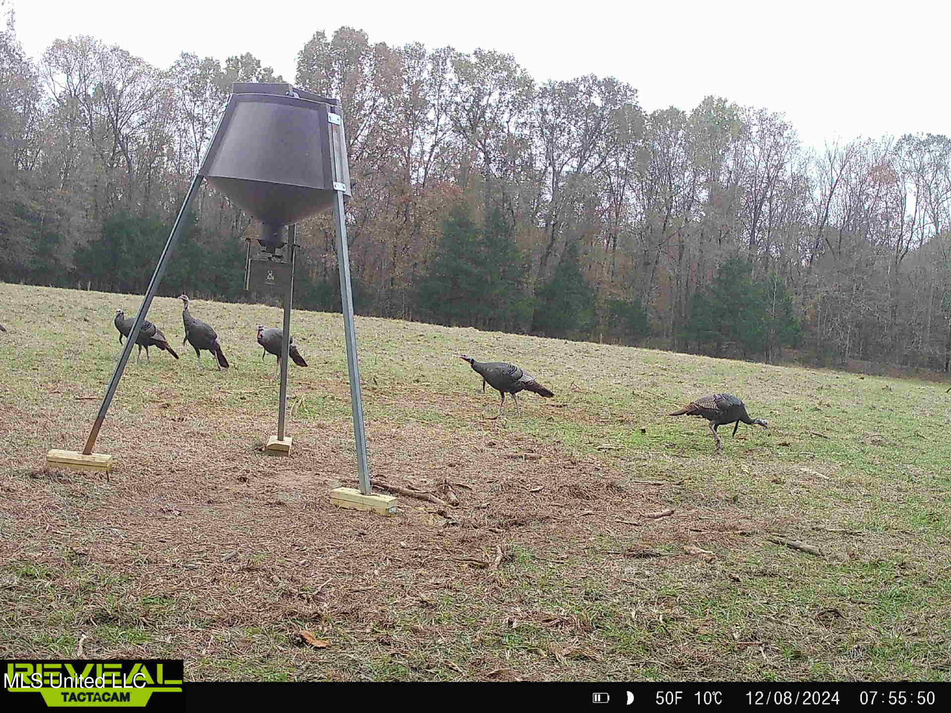 357 Robinson Springs Road Flora, MS 39071 - Photo 27 of 29 rs15