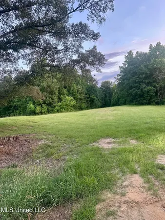 $725,000 | 357 Robinson Springs Road, Flora, MS 39071