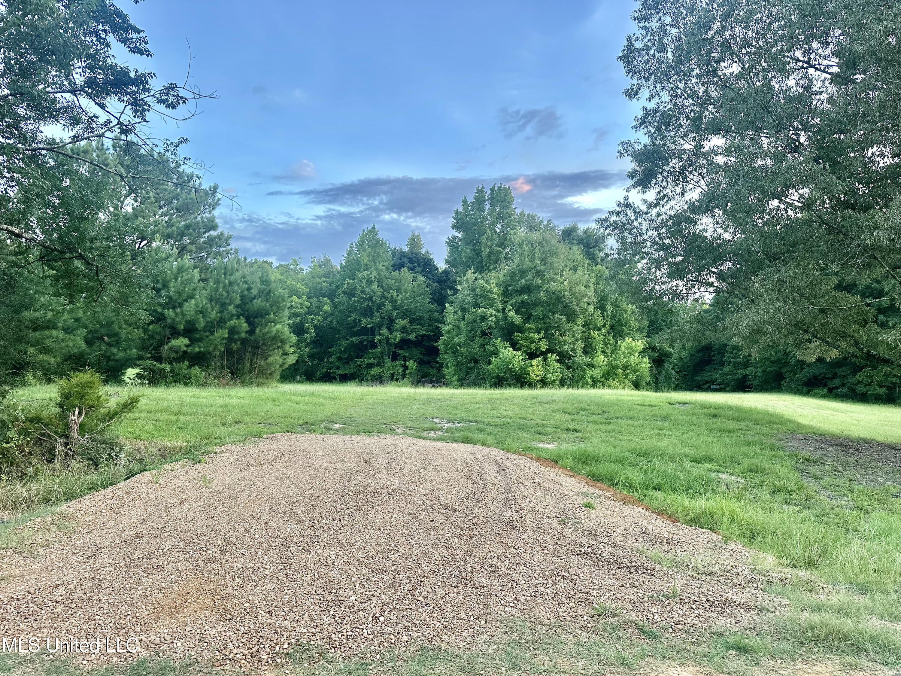 357 Robinson Springs Road Flora, MS 39071 - Photo 4 of 29 rsr21