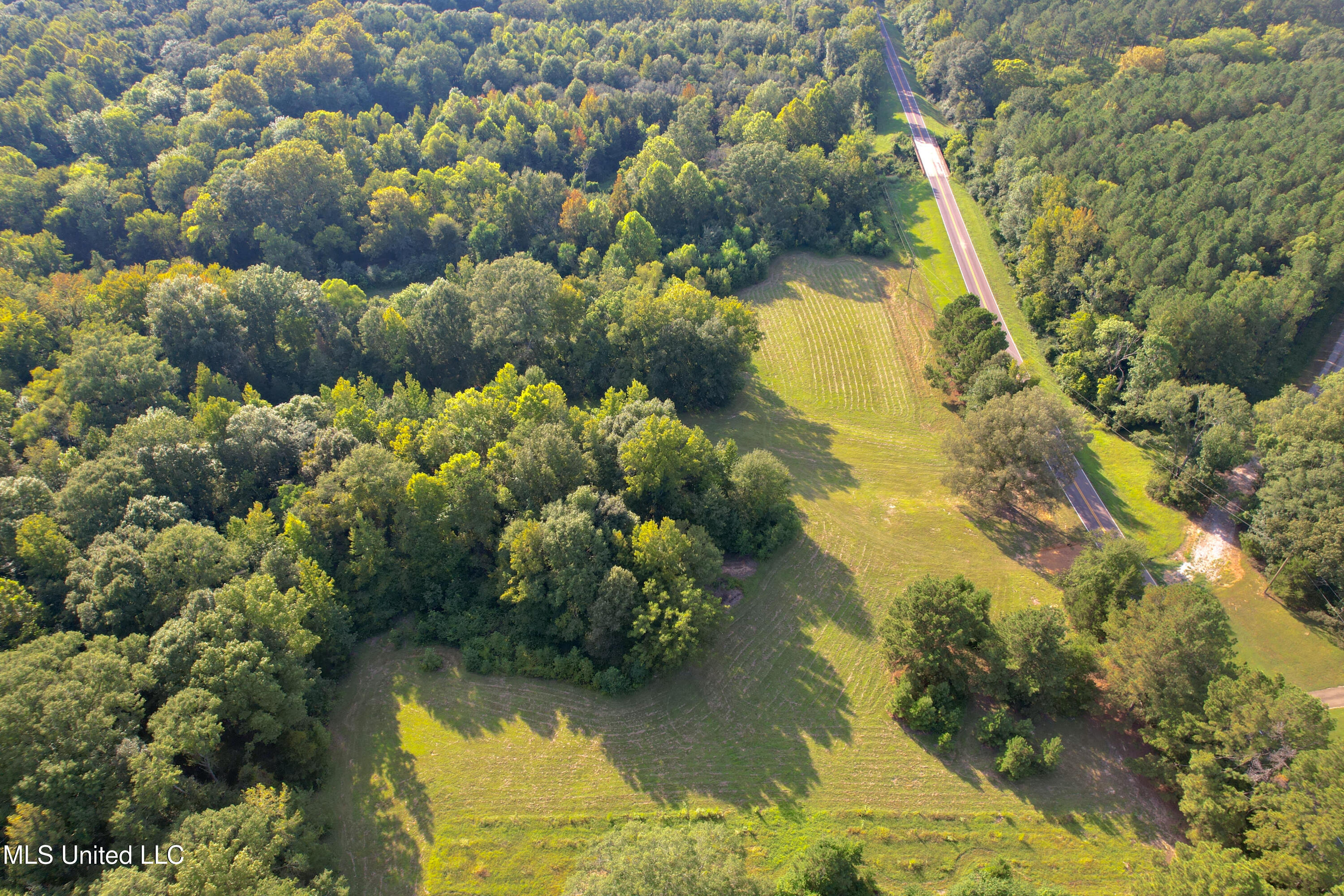 357 Robinson Springs Road Flora, MS 39071 - Photo 6 of 29 rsrn3