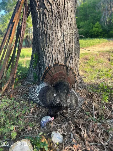 $725,000 | 357 Robinson Springs Road, Flora, MS 39071