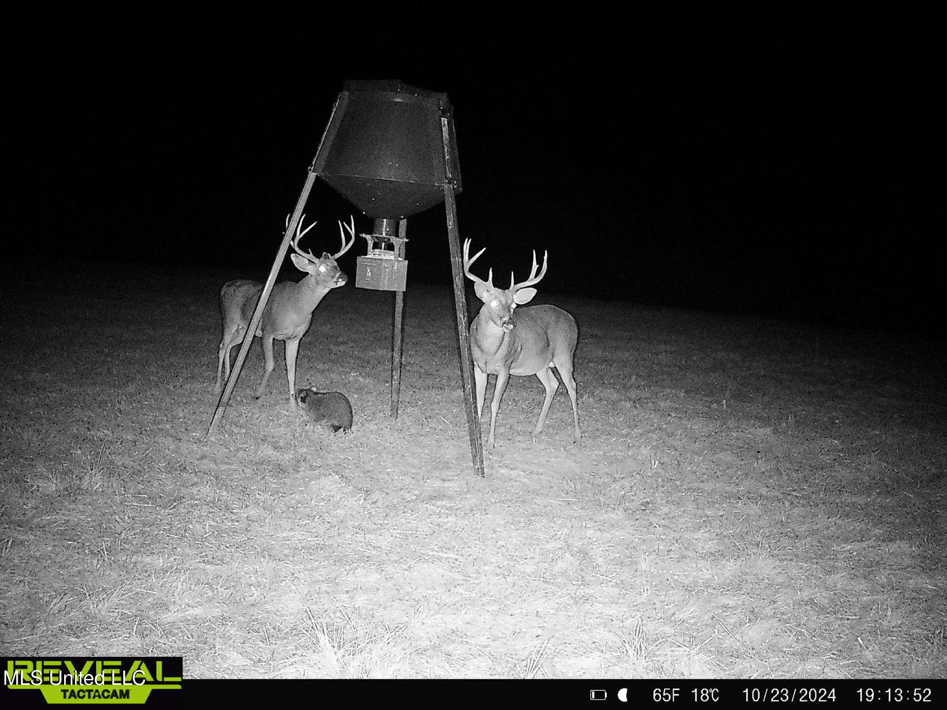 357 Robinson Springs Road Flora, MS 39071 - Photo 8 of 29 rs12