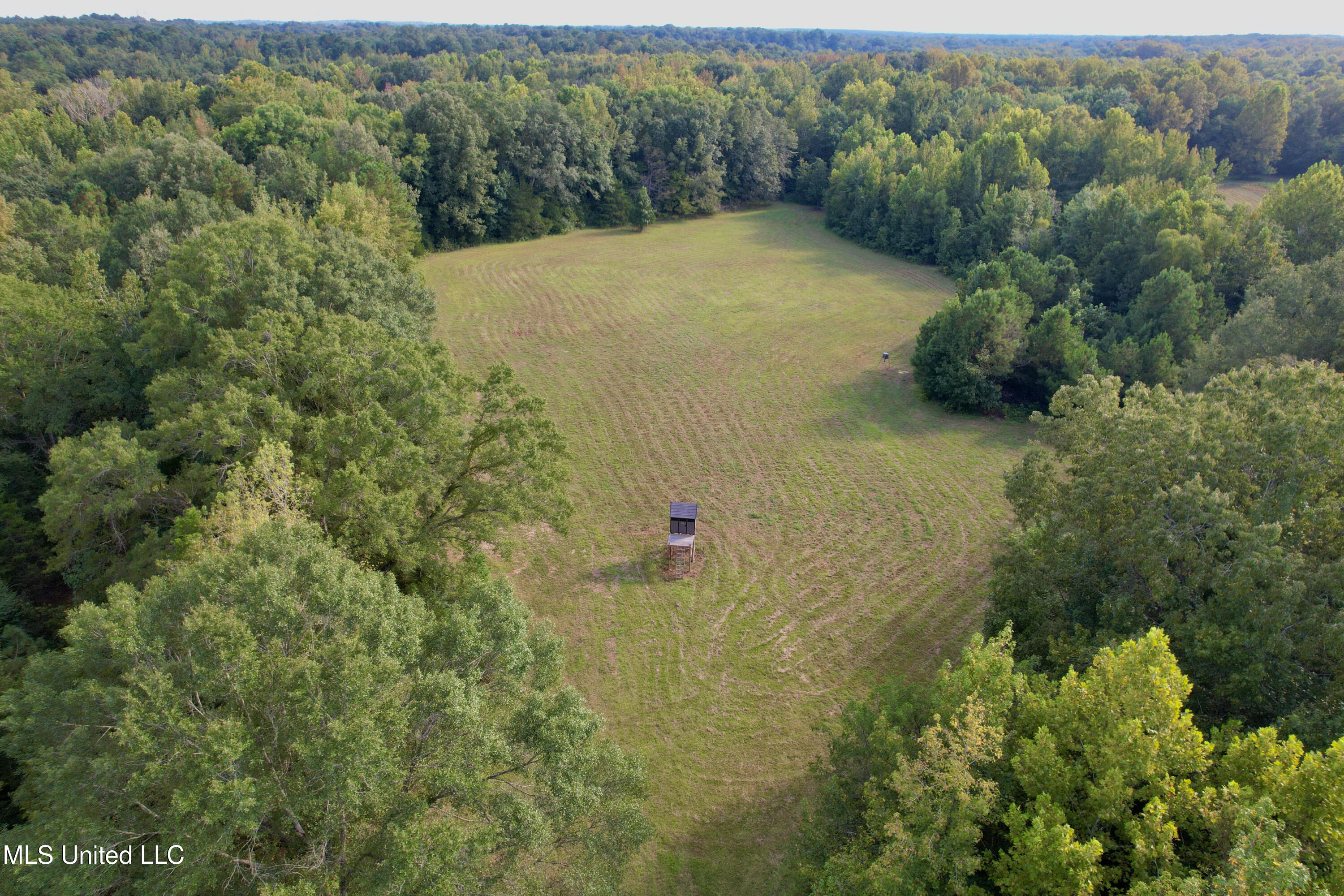 357 Robinson Springs Road Flora, MS 39071 - Photo 9 of 29 rsrn2