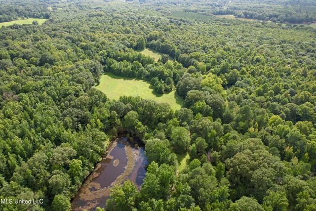 $725,000 | 357 Robinson Springs Road, Flora, MS 39071