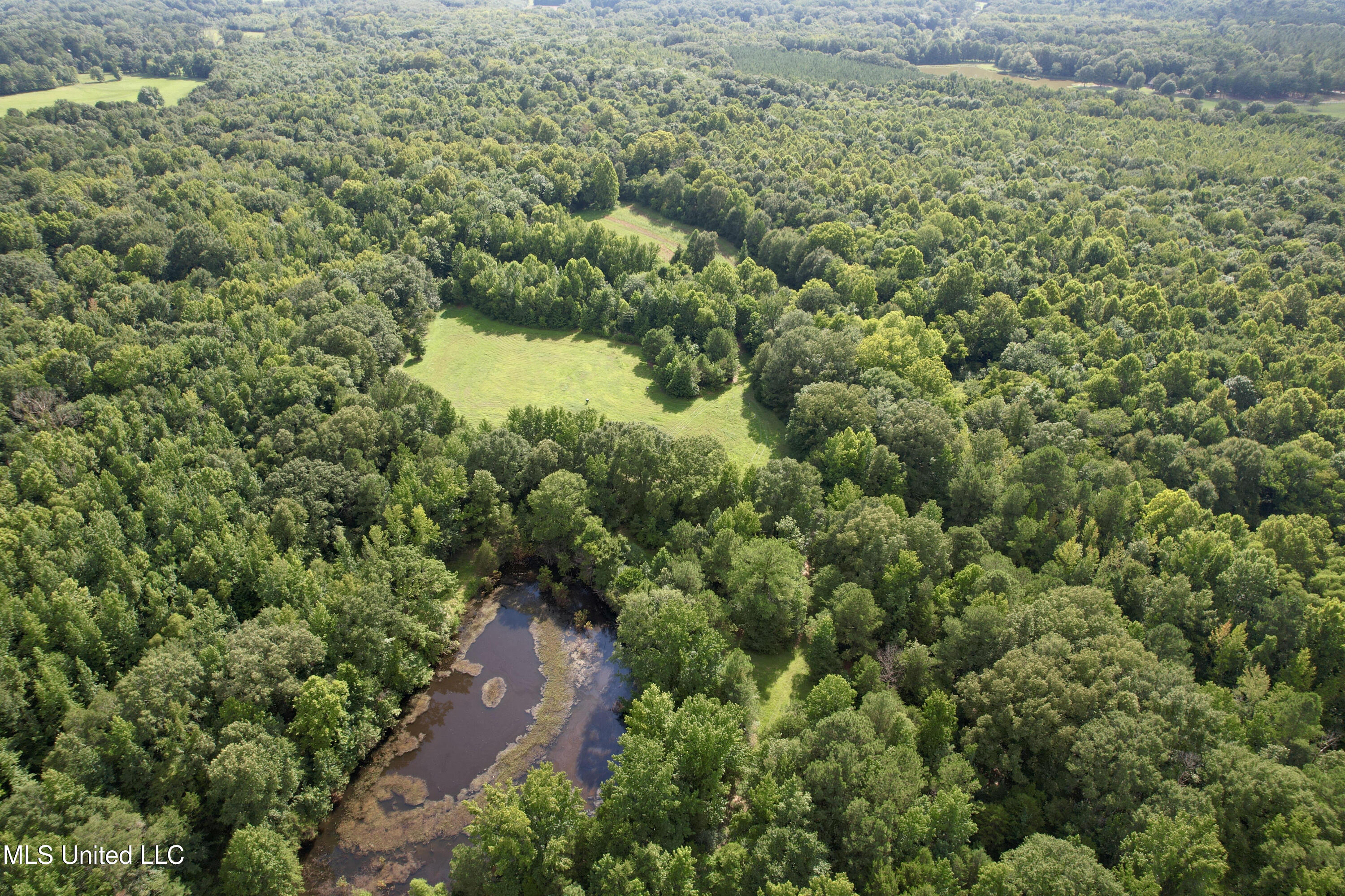 357 Robinson Springs Road Flora, MS 39071 - Photo 10 of 29 rsrd3