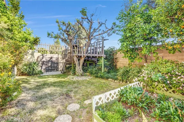 a view of a yard in a backyard