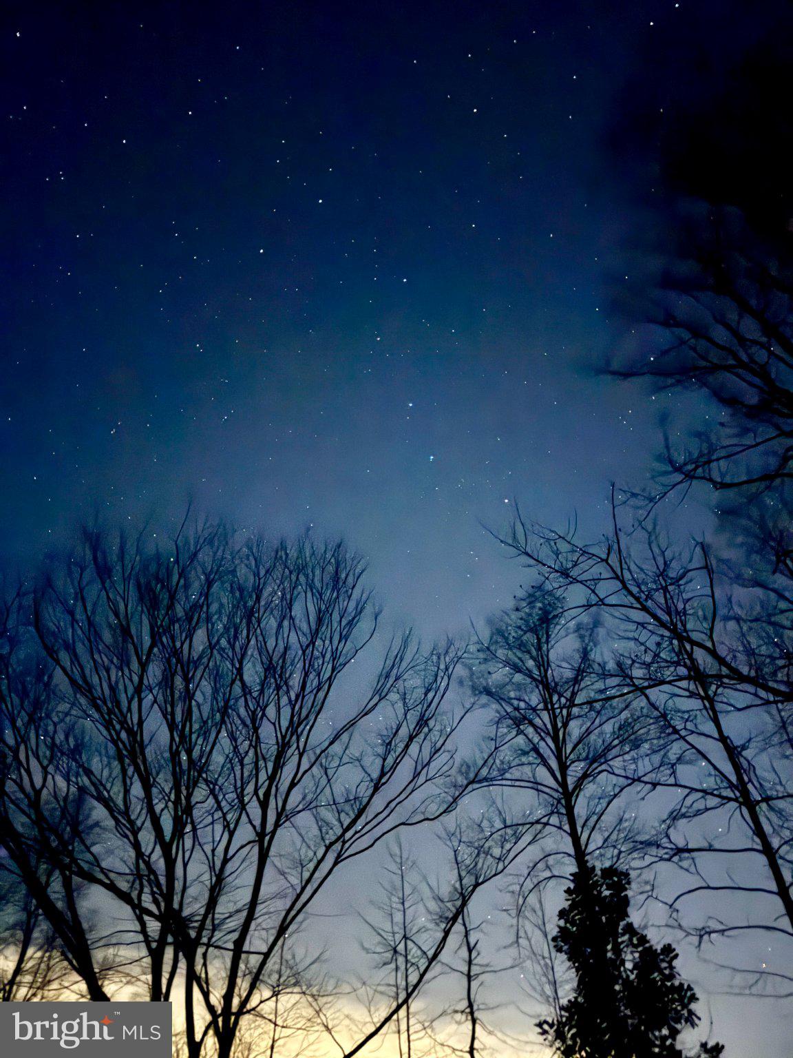 230 Richards Ferry Road Fredericksburg, VA 22406 - Photo 93 of 96 Starry Night Beneath Bare Branches