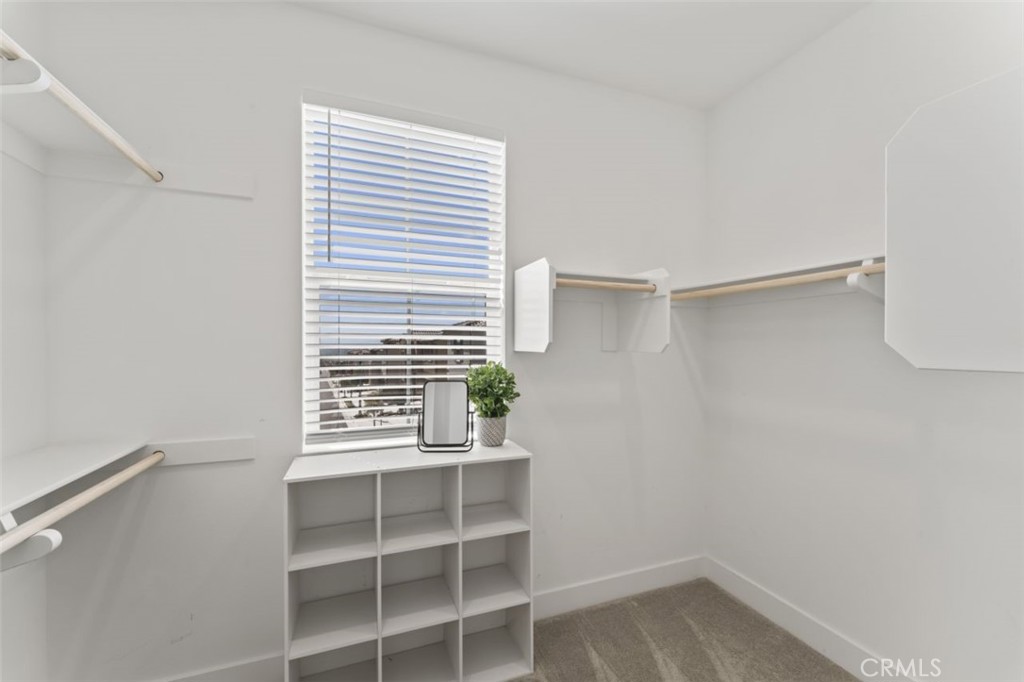 19120 Blackthorn Drive Canyon Country, CA 91351 - Photo 37 of 40 Primary walk in closet with window to front views