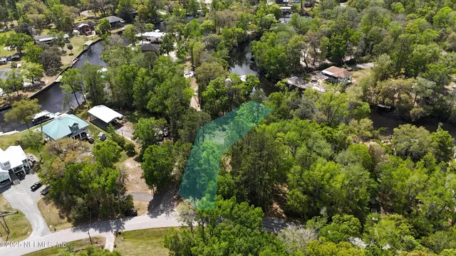 a view of a tree in a garden