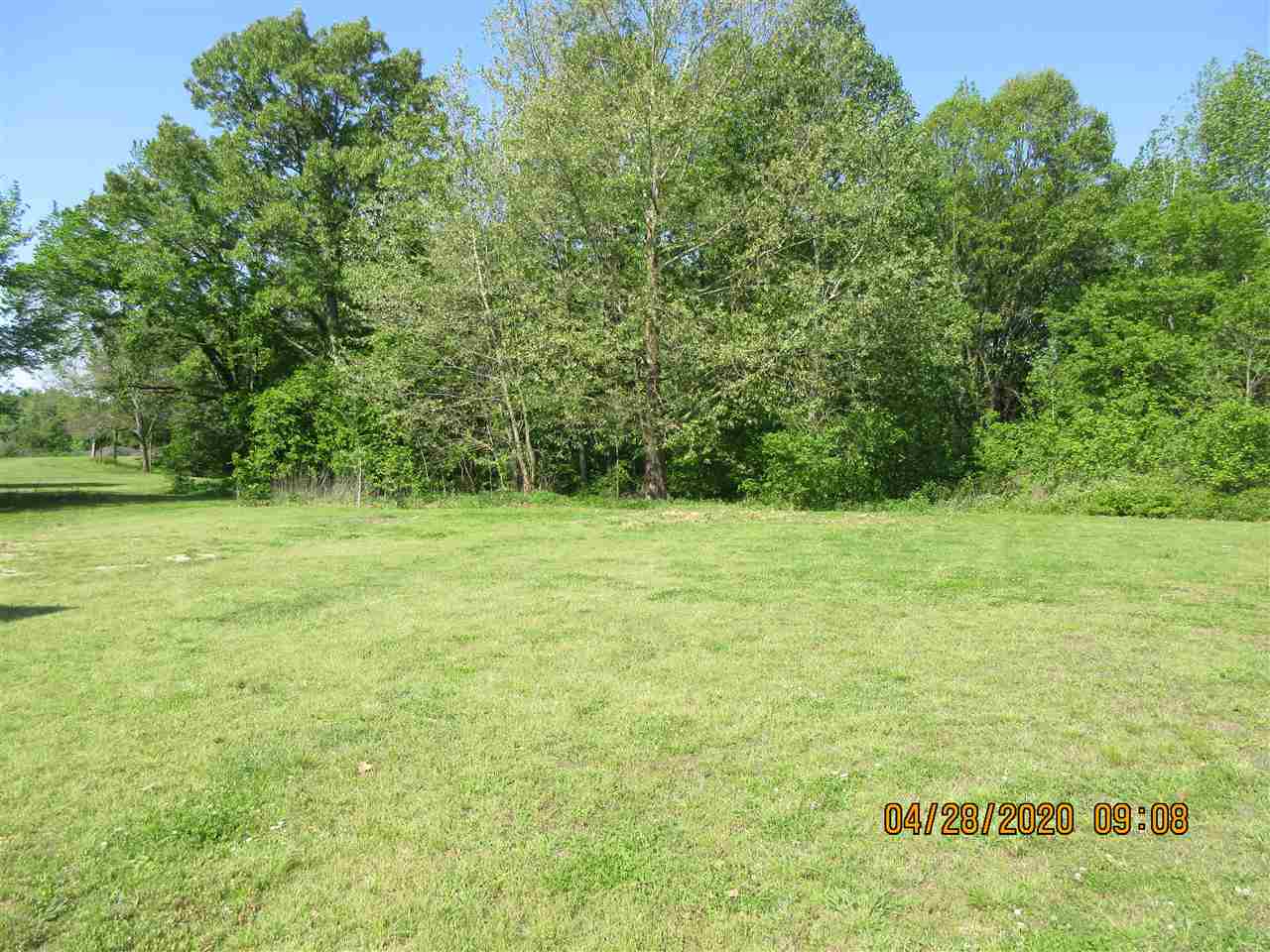 2731 Curve Nankipoo Road Ripley, TN 38063 - Photo 5 of 16