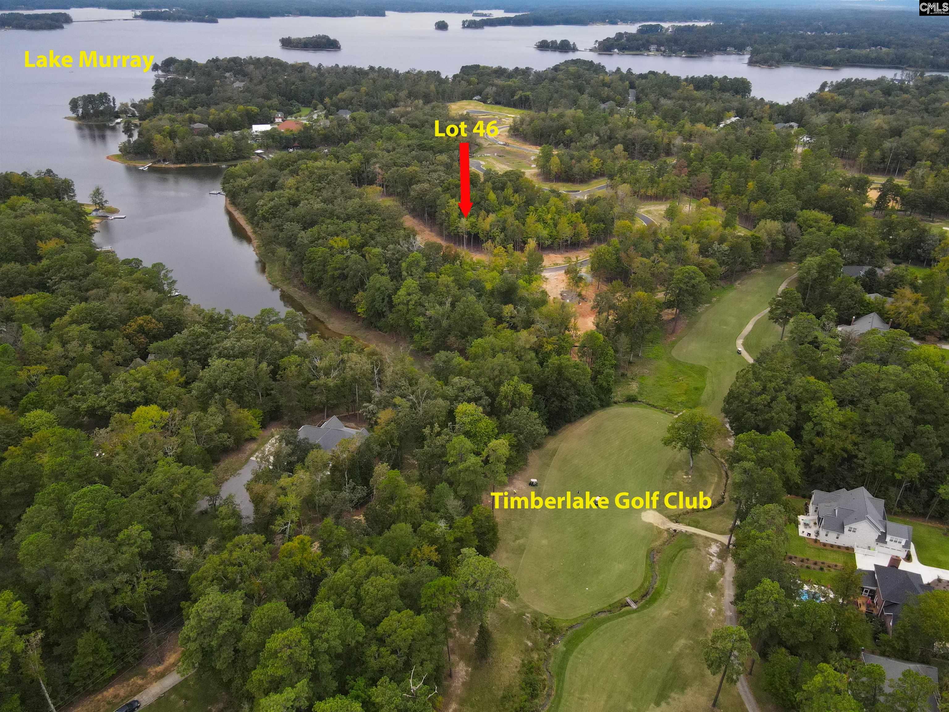 1064 Refuge Place Chapin, SC 29036 - Photo 4 of 20