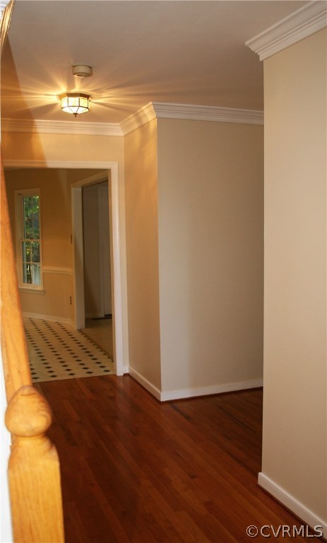 5806 Rosebay Forest Road Midlothian, VA 23112 - Photo 3 of 39 Gallery Image 3