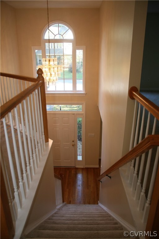 5806 Rosebay Forest Road Midlothian, VA 23112 - Photo 33 of 39 Gallery Image 33