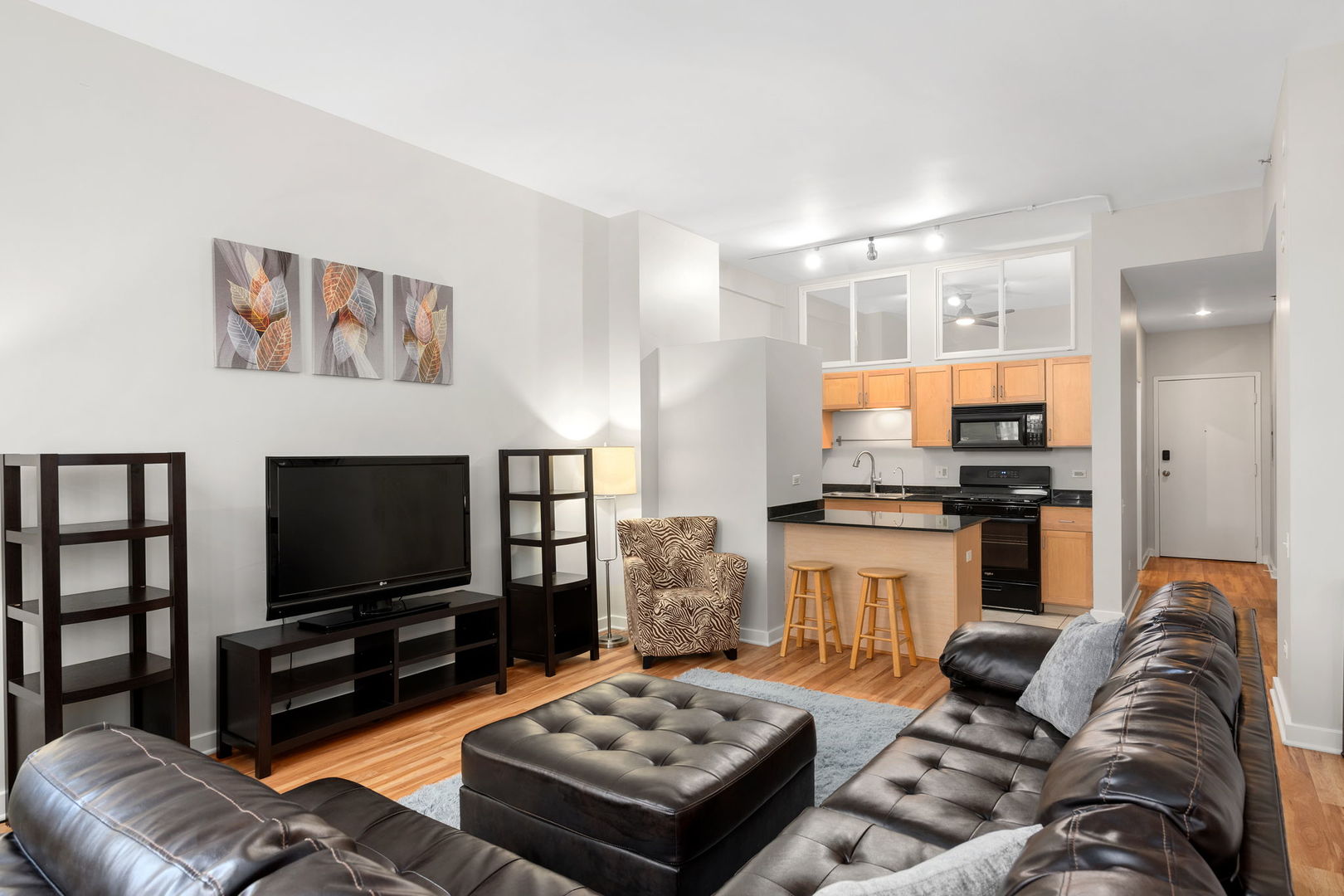 5 North Wabash Avenue, Unit 1103 Chicago, IL 60602 - Photo 2 of 11