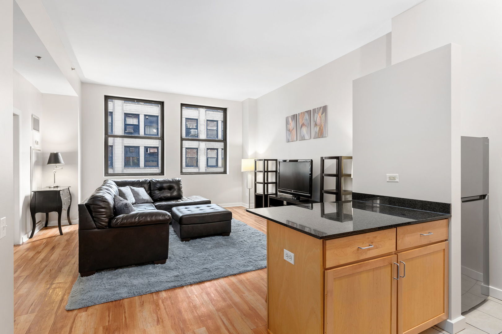 5 North Wabash Avenue, Unit 1103 Chicago, IL 60602 - Photo 3 of 11