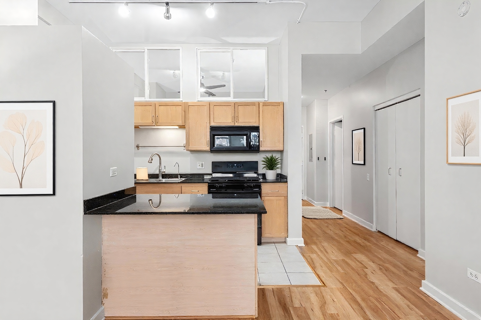 5 North Wabash Avenue, Unit 1103 Chicago, IL 60602 - Photo 6 of 15
