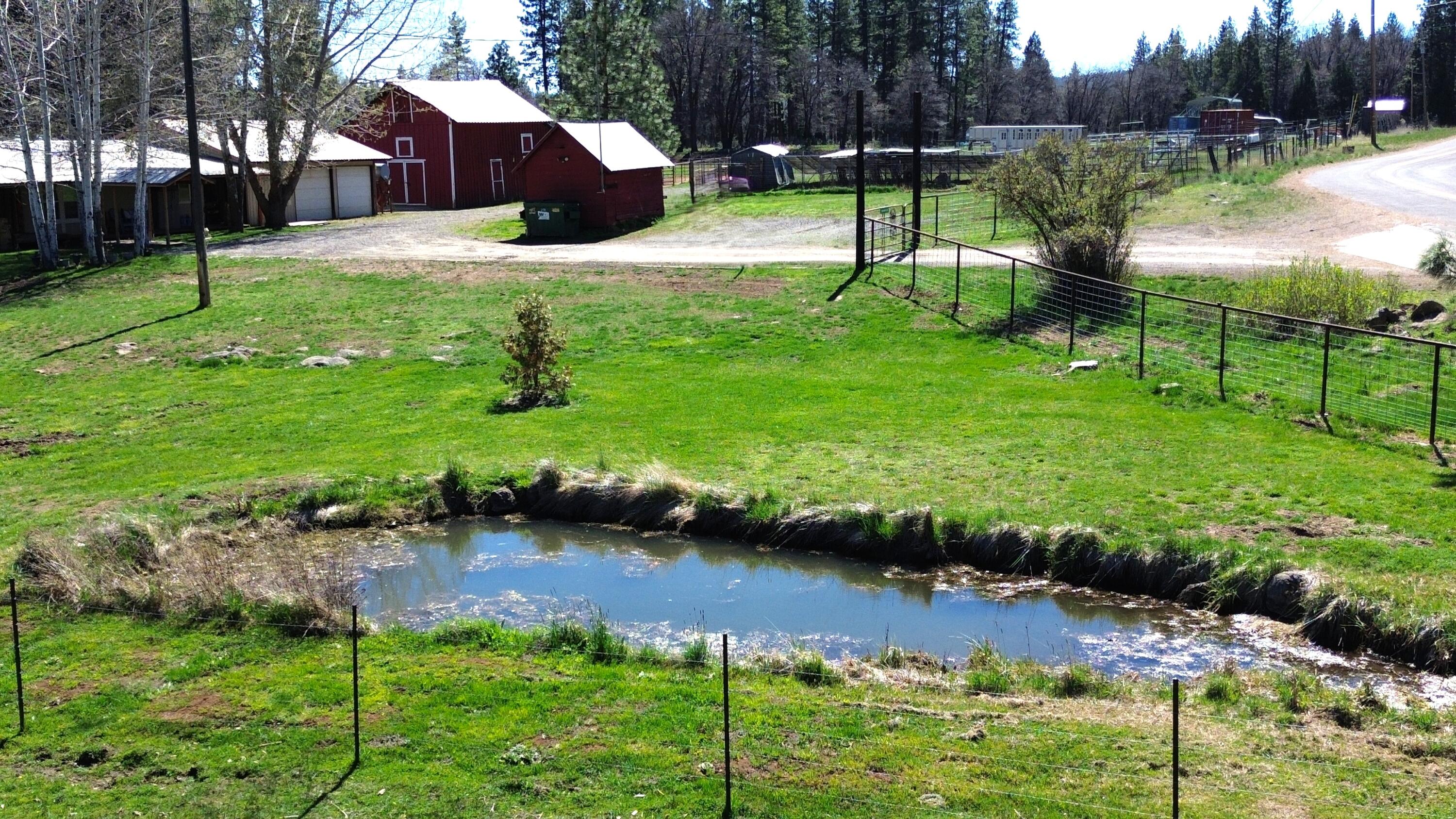 651-050 Foothill Road McArthur, CA 96056 - Photo 5 of 89 9