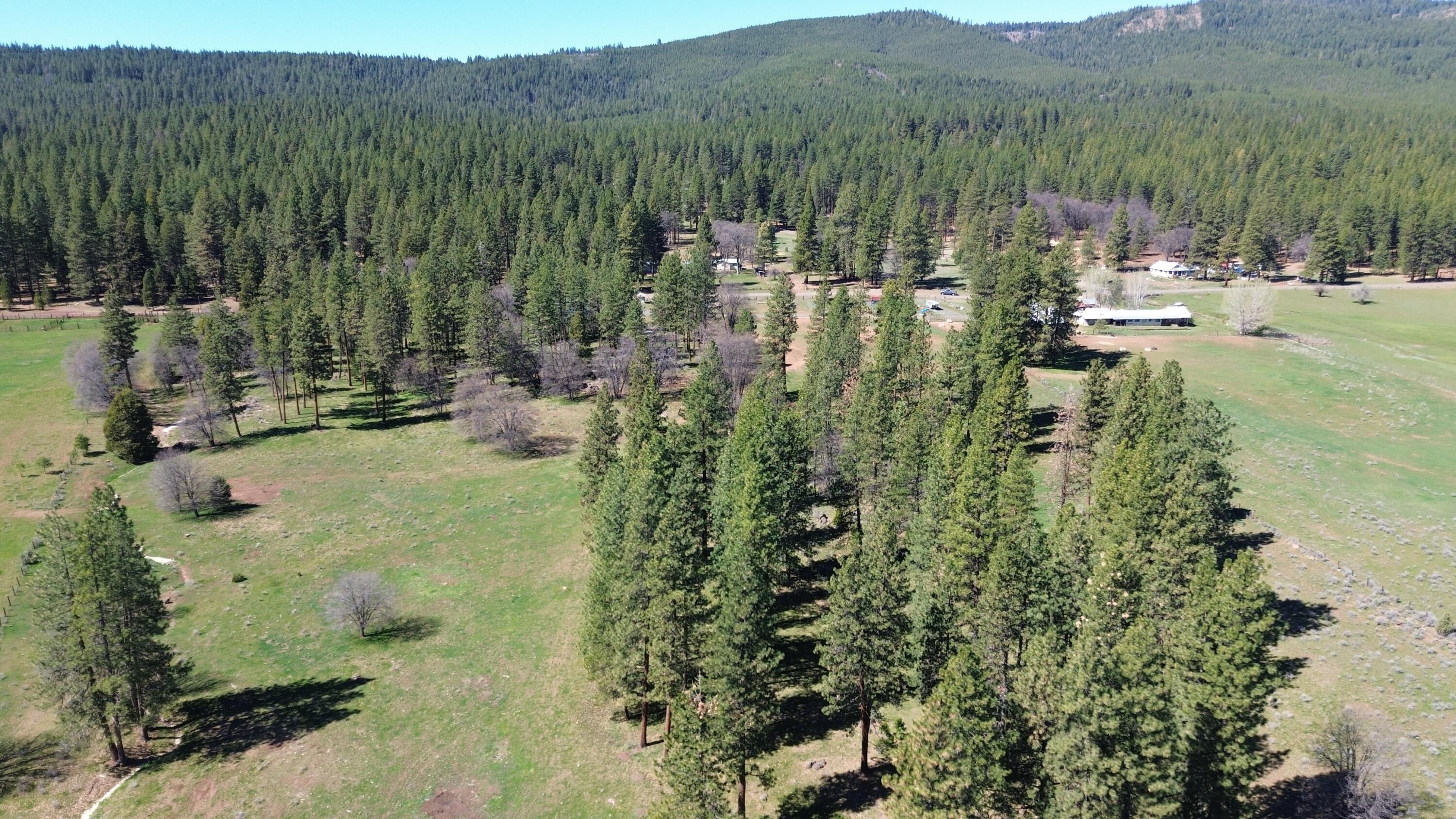 651-050 Foothill Road McArthur, CA 96056 - Photo 57 of 89 11