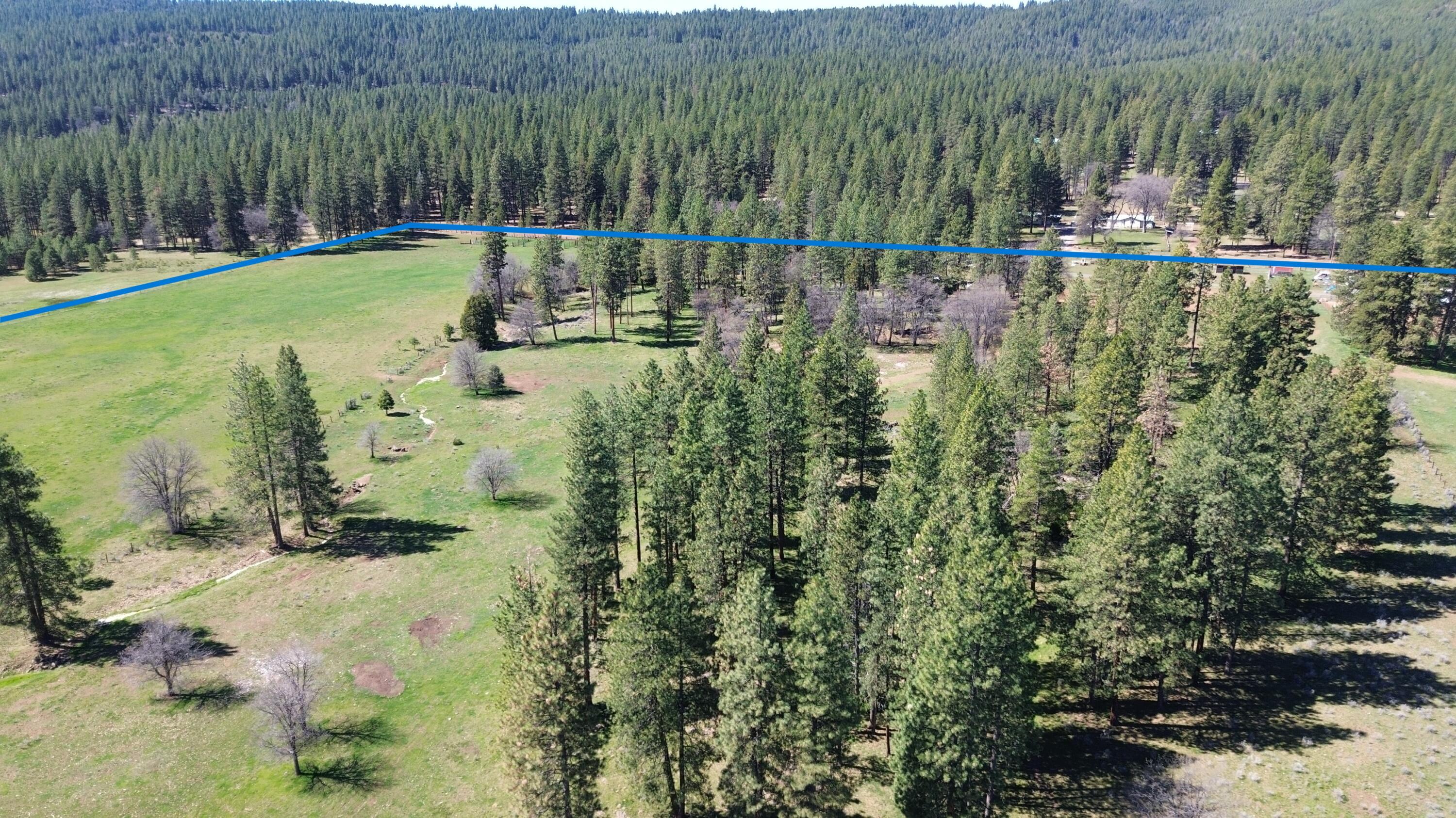 651-050 Foothill Road McArthur, CA 96056 - Photo 6 of 89 6