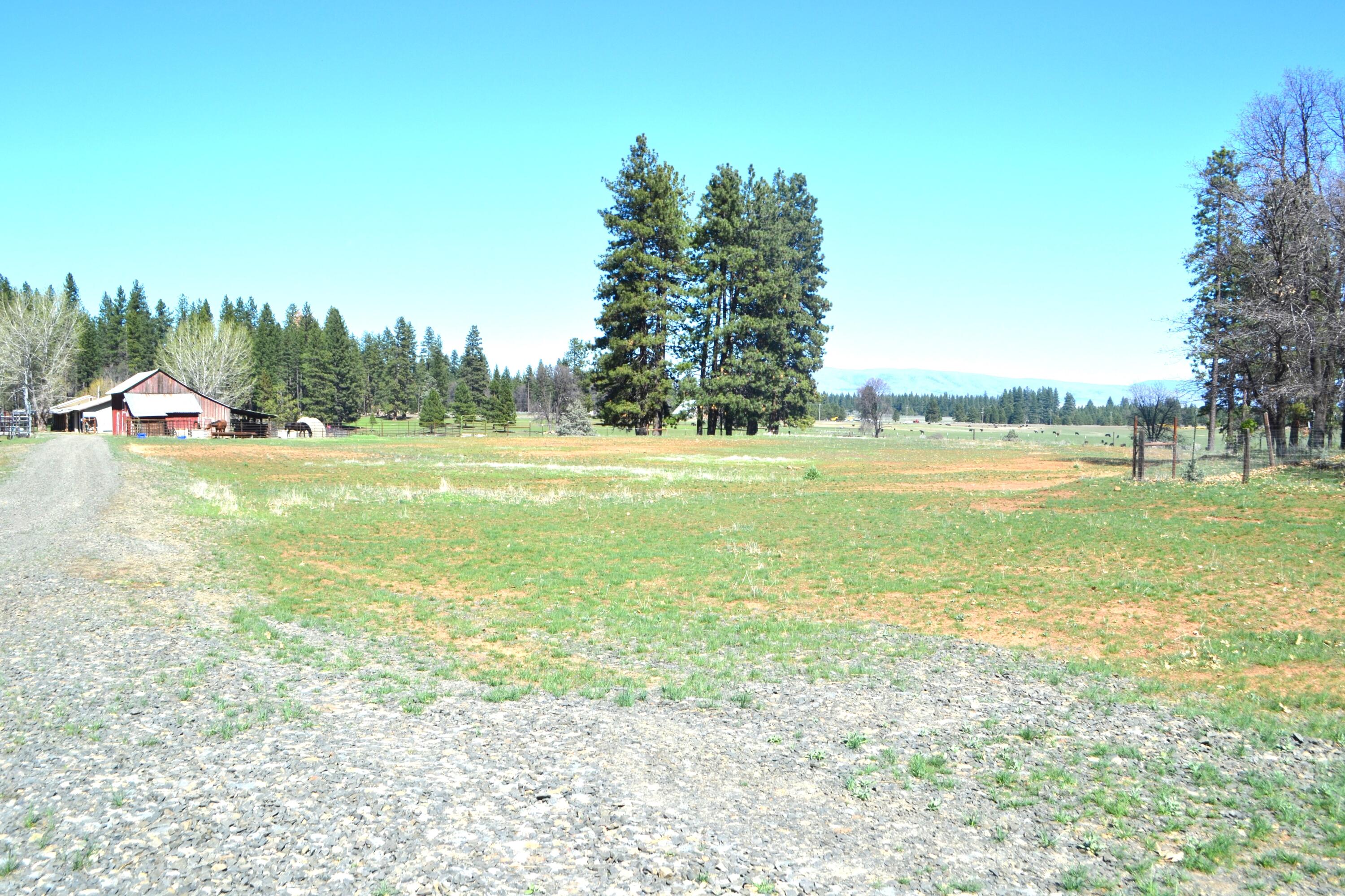 651-050 Foothill Road McArthur, CA 96056 - Photo 61 of 89 A19