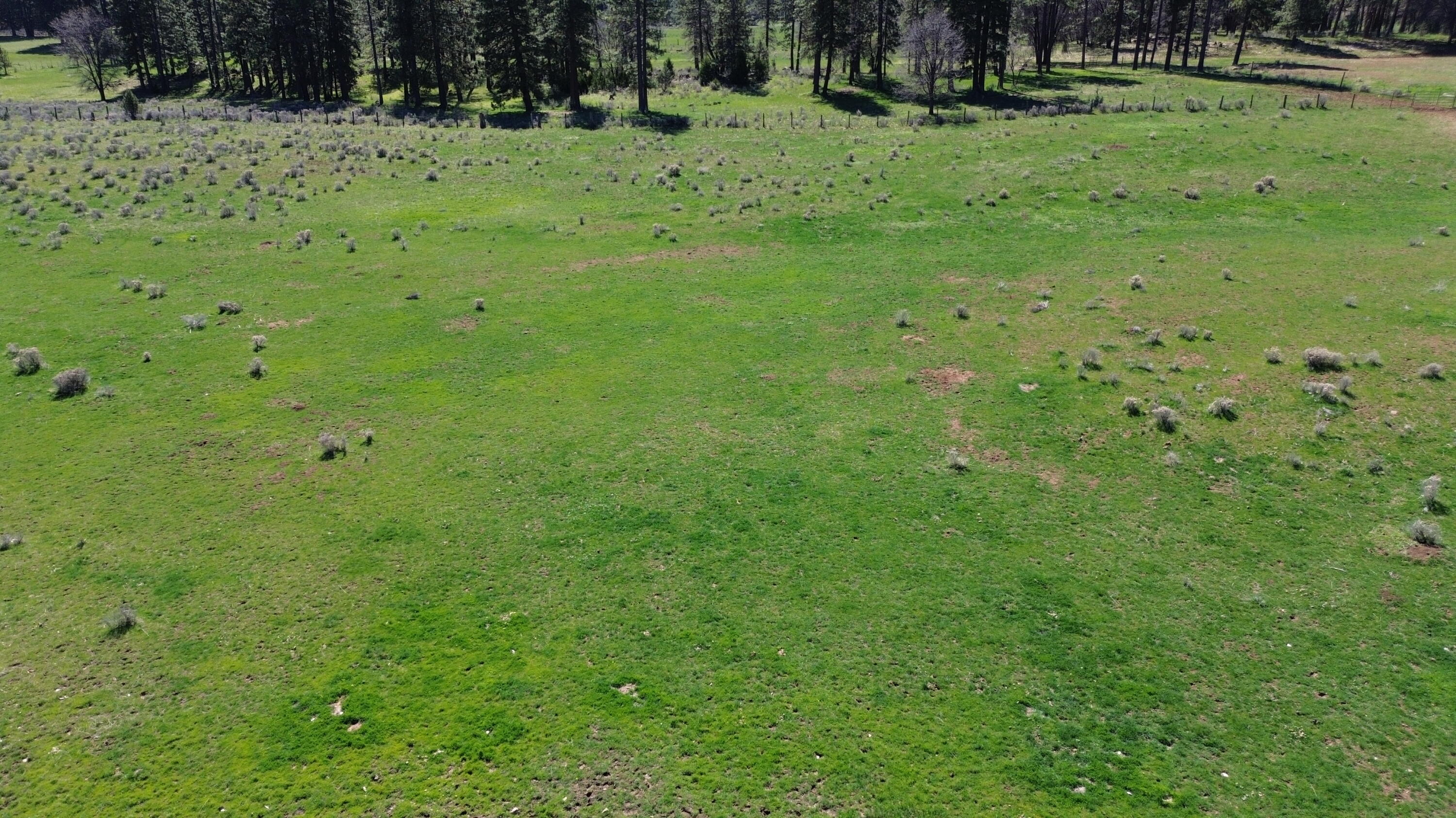 651-050 Foothill Road McArthur, CA 96056 - Photo 64 of 89 B2