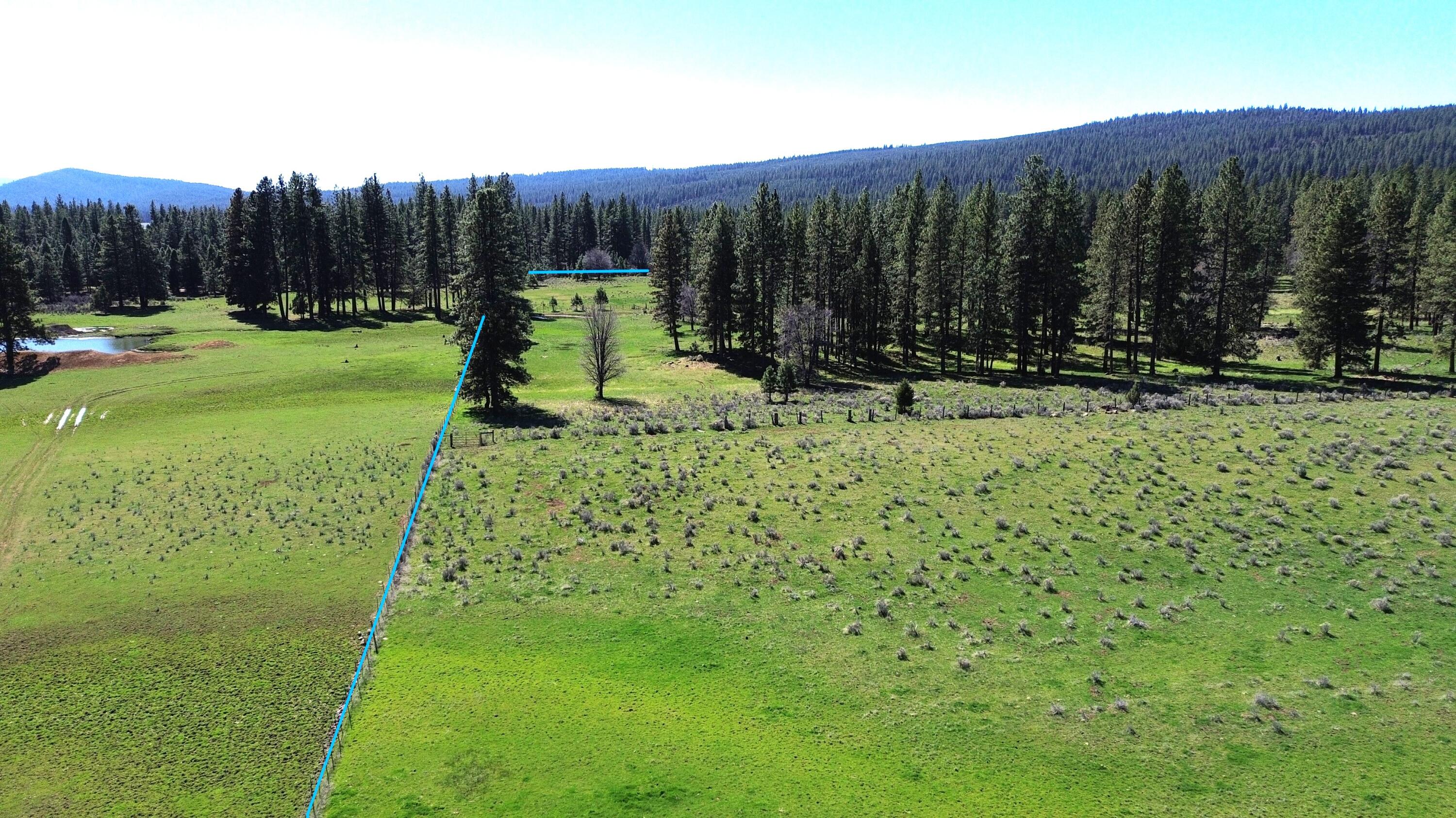 651-050 Foothill Road McArthur, CA 96056 - Photo 65 of 89 B4