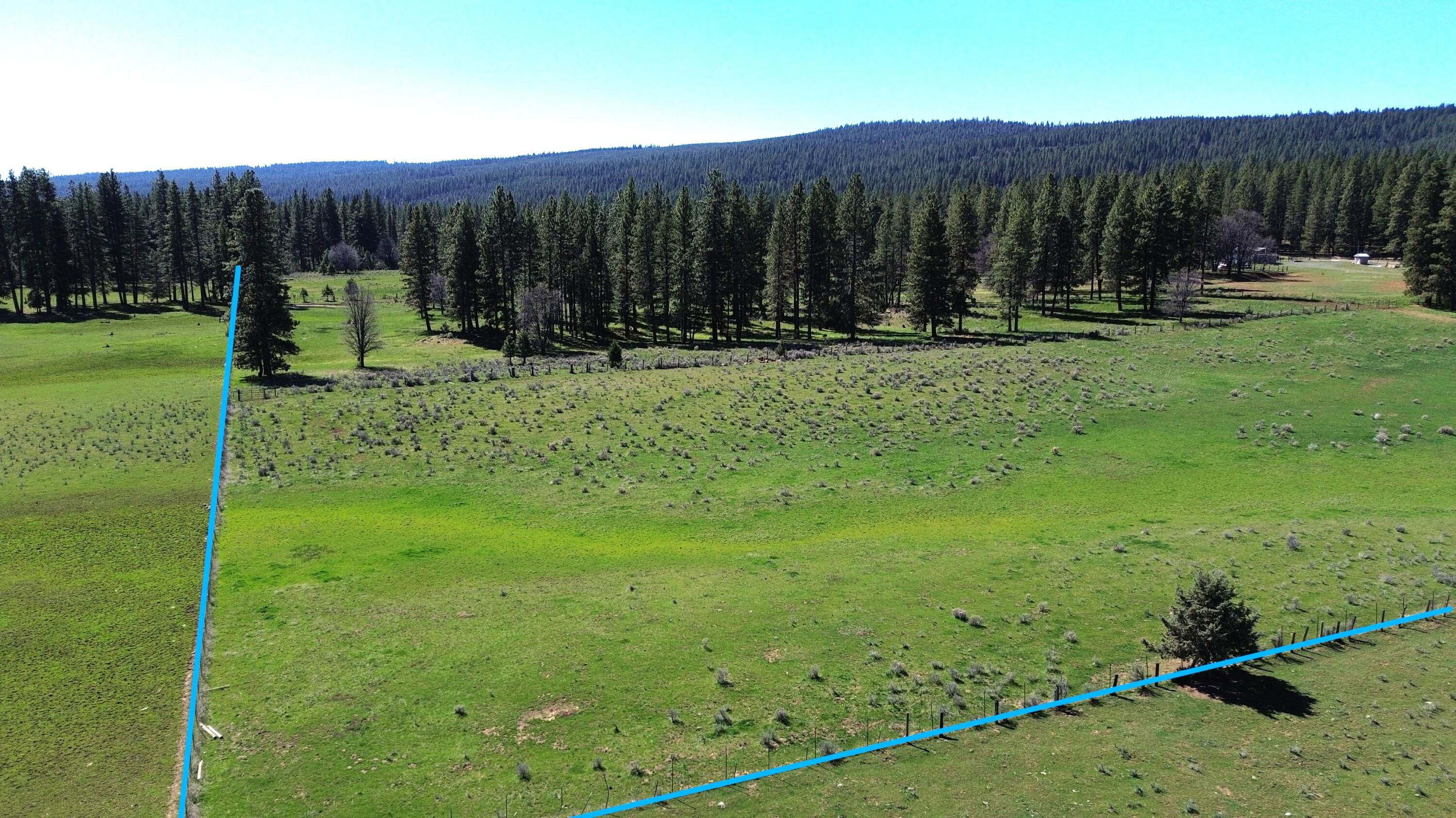 651-050 Foothill Road McArthur, CA 96056 - Photo 66 of 89 B5